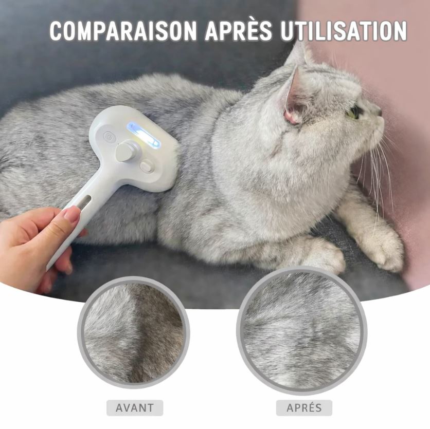 Brosse Vapeur Anti-Poils pour Chats et Chiens